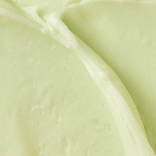 BEAUTY OF JOSEON - MATTE SUN STICK MUGWORT + CAMELIA SPF50 PA++++